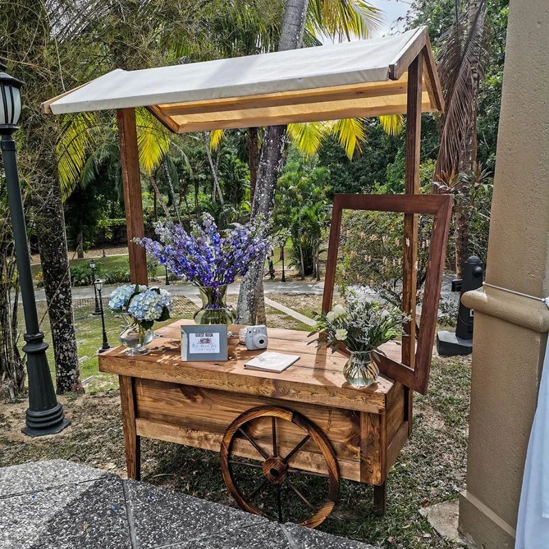 Market Cart decorated with blue and white flowers, a camera and a framed sign, set outdoors by trees and a lamp post